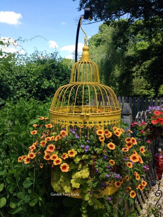 Bird Cage Pot Plant